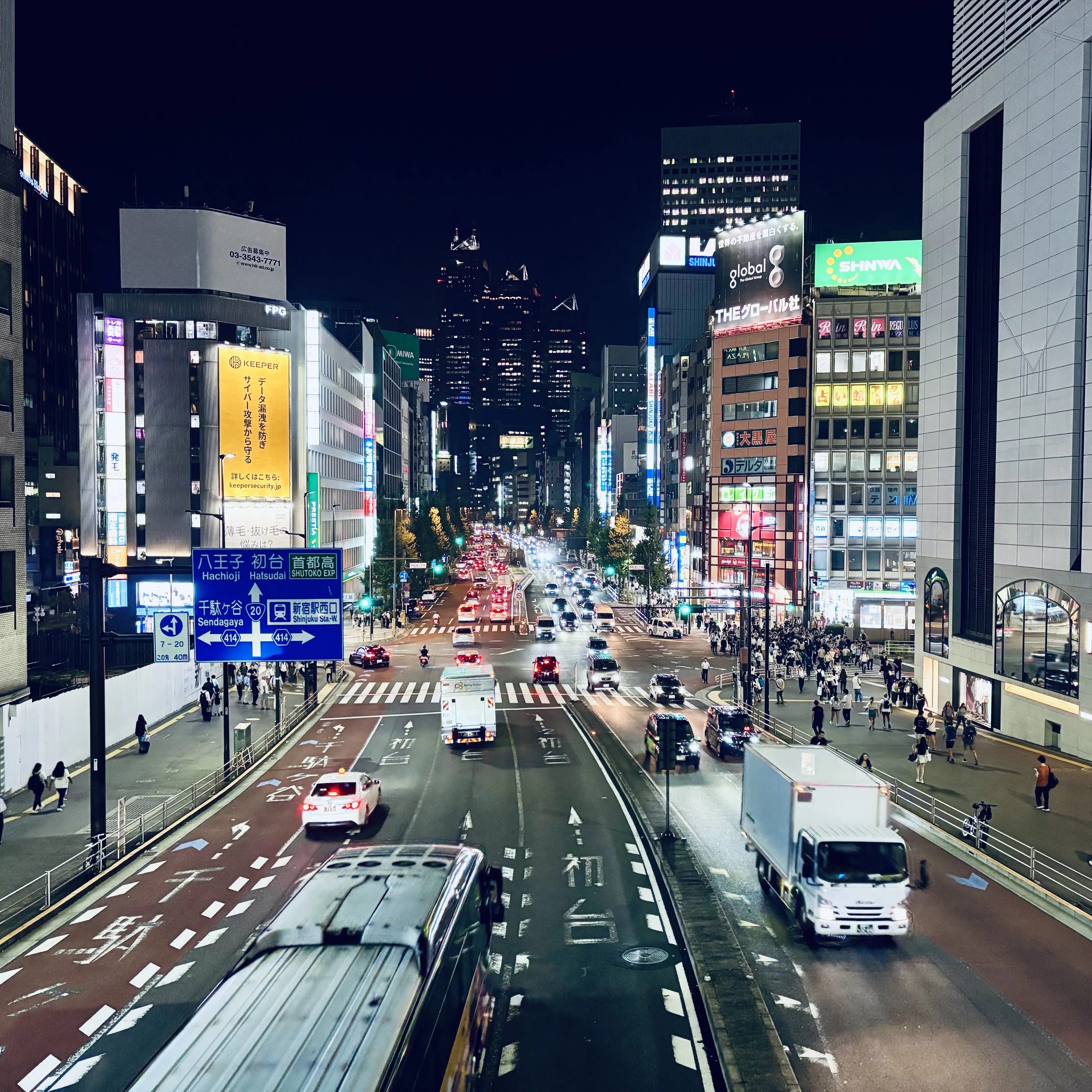Lost in Tokyo Tours