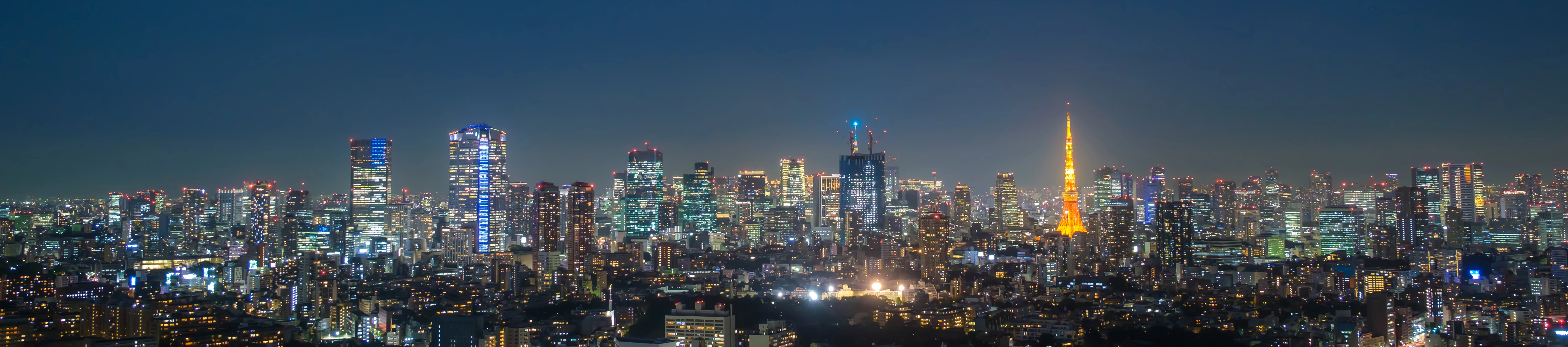 Lost in Tokyo Tours